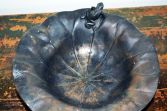 Early-20th Century Chinese bronze bowl - lily pad feet, frog mount, signed, c1920